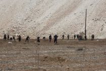 СОЛИ ОБОДОНИЮ СОЗАНДАГӢ. Дар ноҳияи Шуғнон дар 10 гектар боғи  нав  бунёд карда шуд
