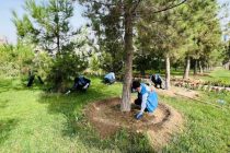 САҲМИ МАН ДАР ШАҲРИ МАН. Бо ҷалби волонтёрон дар пойтахт ҳашарҳои экологӣ гузаронида мешаванд