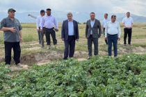 Муовини Сарвазир бо фаъолияти корҳои саҳроӣ дар ноҳияи Шаҳристон шинос шуд