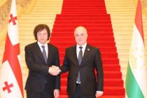 Файзалӣ Идизода бо Сарвазири Гурҷистон Ираклий Кобахидзе мулоқот намуд