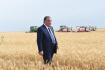 ТИРГОН ШЕБУ ФАРОЗИ САДСОЛАҲОРО ГУЗАШТА, ТО БА РӮЗГОРИ МО РАСИДААСТ. Иқтибосҳо аз суханрониҳои Президенти Тоҷикистон ба муносибати  ин ҷашн