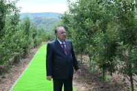 Президенти Ҷумҳурии Тоҷикистон Эмомалӣ Раҳмон дар  ноҳияи Ховалинг аз боғи интенсивӣ дидан намуданд