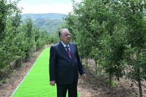 Президенти Ҷумҳурии Тоҷикистон Эмомалӣ Раҳмон дар  ноҳияи Ховалинг аз боғи интенсивӣ дидан намуданд