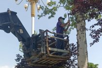 Кормандони Муассисаи давлатии истифодабарии роҳҳои ноҳияи Сино  корҳои ободониро  бахшида ба   35-  солагии  Истиқлоли давлатӣ вусъат  додаанд