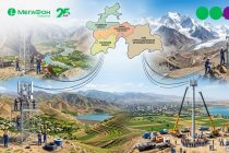 Чӣ тавр муштариён шабакаи мобилиро иваз мекунанд
