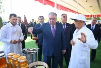 Сарвари давлат Эмомалӣ Раҳмон аз намоиши маҳсулоти кишоварзӣ ва дастовардҳои соҳаи аграрии ноҳияи Бобоҷон Ғафуров дидан намуданд