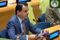 Афзалияти Тоҷикистон дар соҳаи энергетика дар СММ муаррифӣ гардид