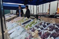 Ангури Тоҷикистон ба вилояти Пензаи Русия содирот гардид