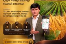 Дар Тоҷикистон платформаи рақамии ватании ZARZO барои ҳисоб ва идоракунии лоиҳаҳои кишоварзӣ таҳия мегардад