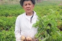 Олимони тоҷик дар водии Яғноб 40 навъи зироати гуногуни кишоварзӣ кишт намуданд