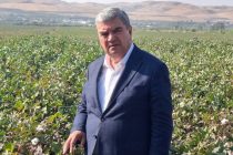 Бо иштироки муовини Сарвазири Тоҷикистон дар Шаҳринав ҷамъоварии пахта оғоз гардид