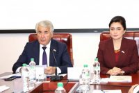 Доир ба рушди дипломатияи парламентӣ дар даврони соҳибистиқлолии Тоҷикистон ҳамоиш баргузор шуд
