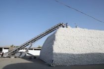 Дар ноҳияҳои вилояти Хатлон ҷамъоварӣ ва коркарди пахта идома дорад