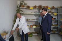 Дар назди Институти ботаника, физиология ва генетикаи растаниҳо якумин Бонки генетикии растаниҳо ба фаъолият оғоз кард