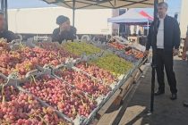 Маҳсулоти кишоварзии Тоҷикистон бо сифати аъло  дар бозорҳои хориҷӣ мавқеи муносиб пайдо кардааст