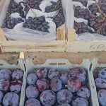 Маҳсулоти кишоварзии Тоҷикистон бо сифати аъло дар бозорҳои хориҷӣ мавқеи муносиб пайдо кардааст