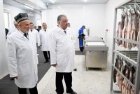 Президенти Ҷумҳурии Тоҷикистон Эмомалӣ Раҳмон дар шаҳри Ваҳдат коргоҳи коркарди моҳии ҶДММ «Баҳор»-ро ифтитоҳ намуданд