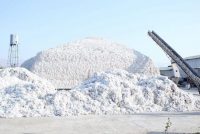 Дар вилояти Суғд беш аз 33 фоизи нақшаи  ҷамъоварии пахта иҷро гардидааст
