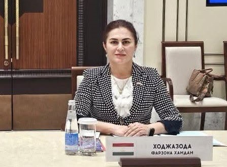 Вакили Маҷлиси намояндагон дар ҷаласаи Комиссияи доимии Ассамблеяи байнипарлумонии давлатҳои ИДМ иш…