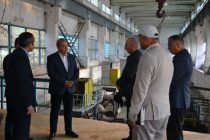 Муовини Сарвазири Тоҷикистон бо вазъи корҳои саҳроӣ ва ҳолати инфрасохтори обёрии ноҳияи Мастчоҳ шинос шуд