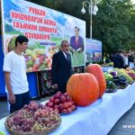МАСЛИҲАТИ МУТАХАССИС. Тарбуз, харбуза ва каду дар таркиби худ витамини C ва А бештар доранд