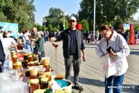ЗАНБӮРИАСАЛПАРВАРӢ. Занбӯрҳо гардолудкунандаи асосии растаниҳо ва дарахтони мевадор мебошанд