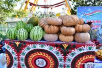 МАСЛИҲАТИ МУТАХАССИС. Тарбуз, харбуза ва каду дар таркиби худ витамини C ва А бештар доранд