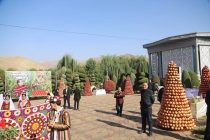 Дар шаҳри Норак Фестивали анорпарварон баргузор гардид