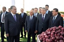 Кишоварзони Ваҳдат имсол ҳаҷми умумии маҳсулотро ба беш аз 1 миллиарду 689 миллион сомонӣ расониданд