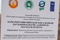 Намояндагони воситаҳои ахбори омма дар Хатлон бо натиҷаҳои лоиҳаҳои Барномаи рушди Созмони Милали Муттаҳид шинос гардиданд
