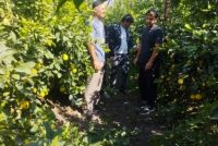 Дар ноҳияи Ҷайҳун ҷамъоварии лимӯ идома дорад