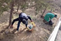 Дар шаҳри Норак ҳашарҳои экологии «Тозагии маҳал» ва «Тозагии шоҳроҳ» гузаронида шуданд